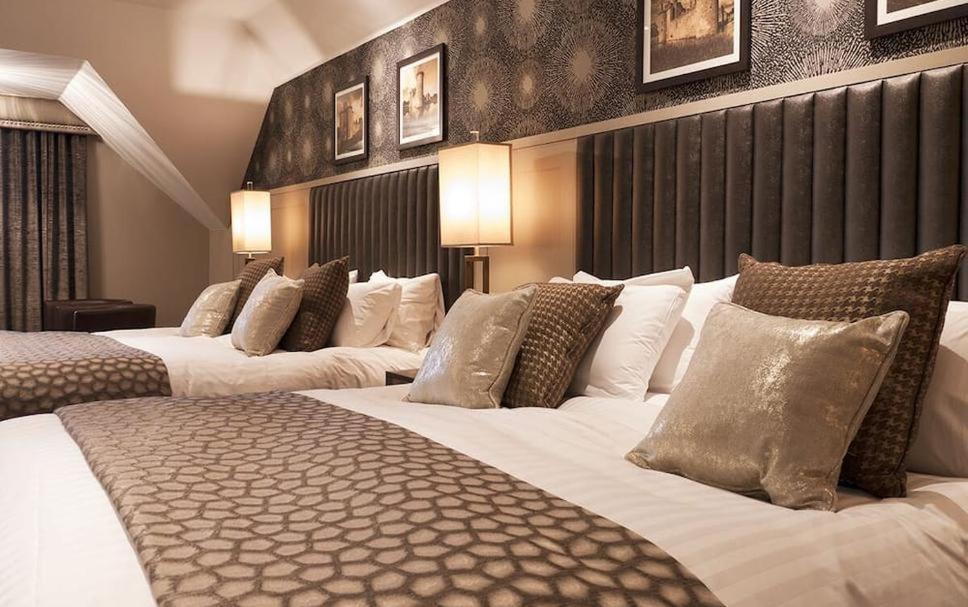 Hotel Tulip Near Delhi Airport Нью-Дели Номер фото